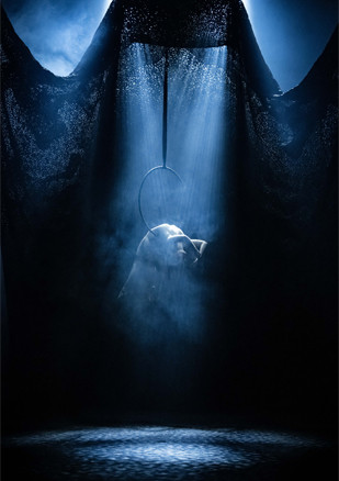 Affiche - Paradisum